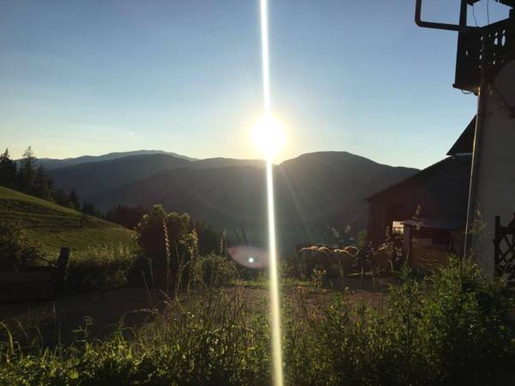 Apartmán Bio-Peisingerhof Sankt Stefan ob Leoben Exteriér fotografie
