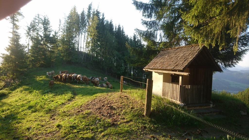 Apartmán Bio-Peisingerhof Sankt Stefan ob Leoben Exteriér fotografie