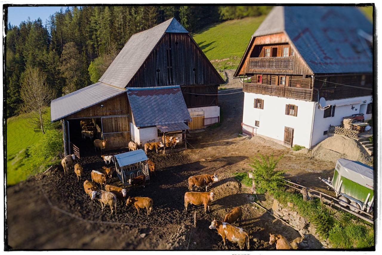 Apartmán Bio-Peisingerhof Sankt Stefan ob Leoben Exteriér fotografie